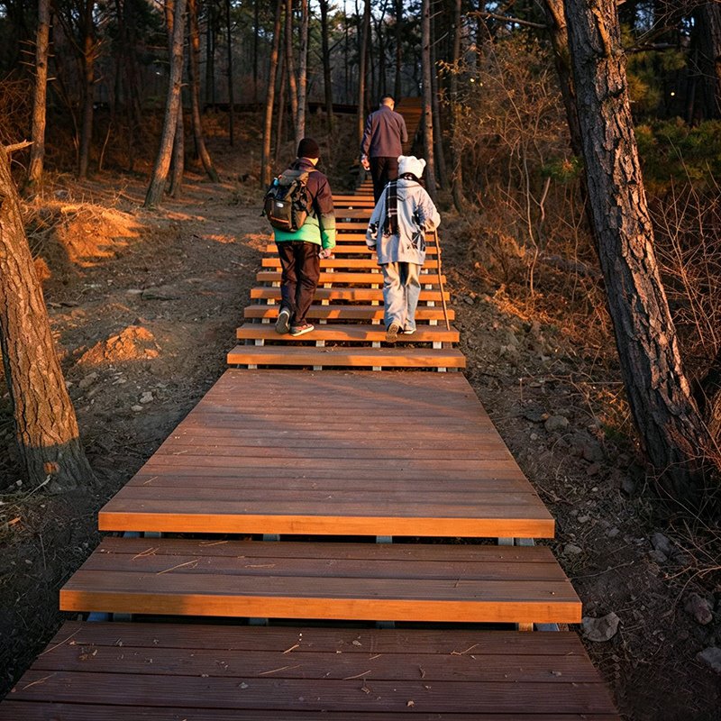 Compressed Bamboo Decking