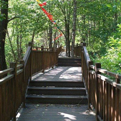 Outdoor Bamboo Flooring
